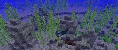 我的世界国际版最新爆料,Minecraft国际版最新爆料揭秘新世界奇观  第2张