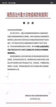 甘肃猪瘟最新爆料,防控措施升级,养殖户忧心忡忡 第2张 甘肃猪瘟最新爆料,防控措施升级,养殖户忧心忡忡 第2张